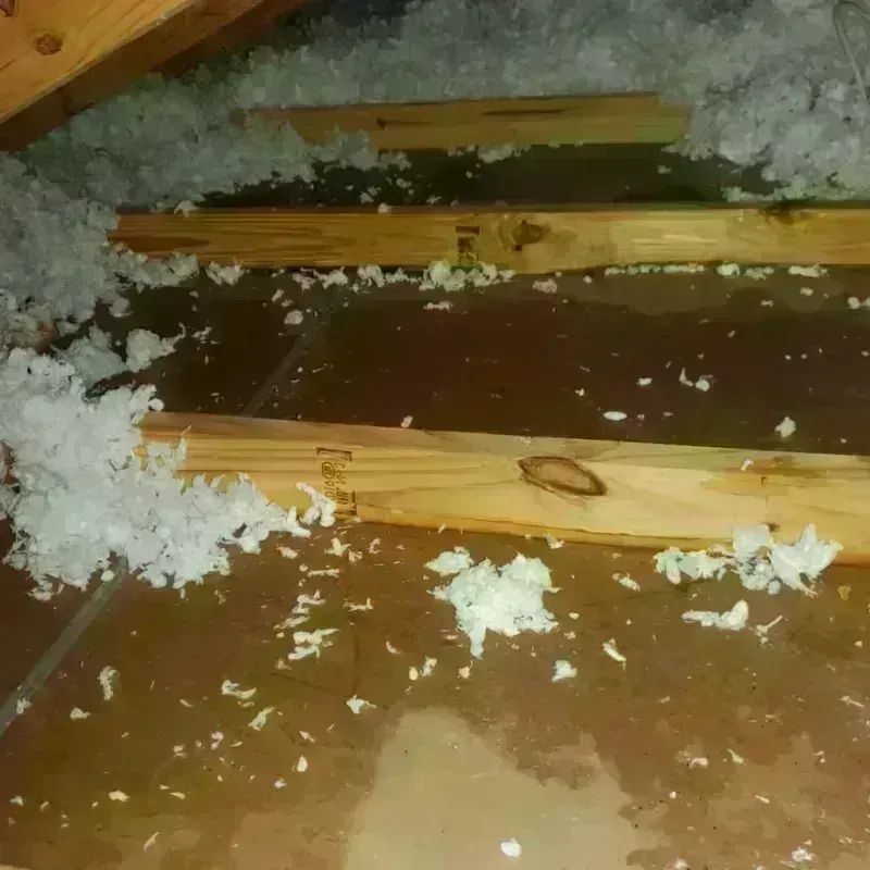 Attic Water Damage in Chester, VT